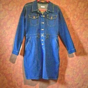 Calvin Klein Long Sleeve Denim Dress